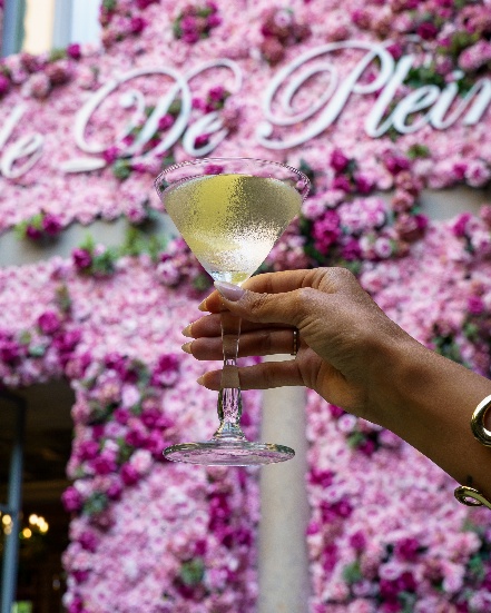 Cocktail in the Garden of La Jungle De Plein